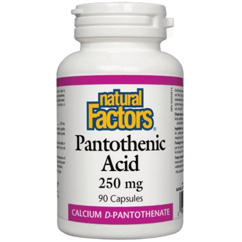 Natural Factors Panthothenic Acid 250 mg, 90 Capsules Natural Factors Panthothenic Acid 250 mg, 90 Capsules